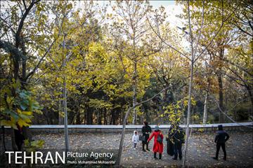 هوای پاک تهران 5