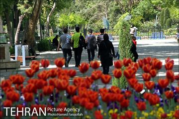 لاله های بهاری پارک شهر 3