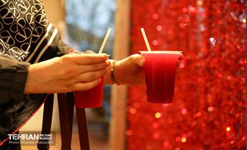 جشنواره انار تهران در گذر گردشگری پارک آب و آتش 4