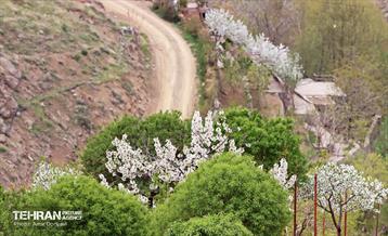 هوای بهاری منطقه 22 3