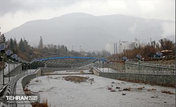 بارش باران زمستانی در تهران 29