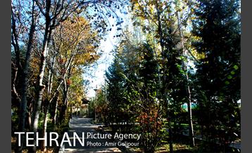 شهرک صدرا 25