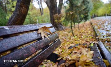 یک روز پاییزی در منطقه ۱۴