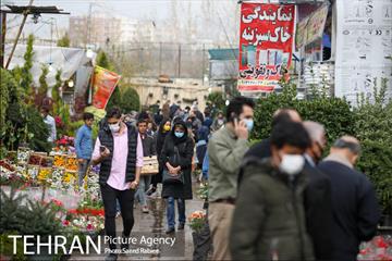 بازار گل و گیاه غرب تهران در آستانه نوروز 29