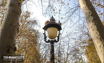 سمفونی رنگ های پاییزی - کاخ سعدآباد 30