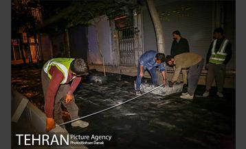 باز پیرایی خیابان 50 ساله 27