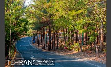 بوستان جنگلی چیتگر 18