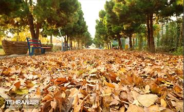 گذرگاه های پاییزی پایتخت - منطقه 13