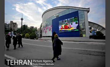 شانزدهمین نمایشگاه بین المللی گل و گیاه تهران - 2 4