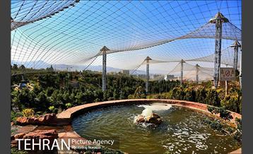 فصل بهار در بوستان های منطقه 4 5