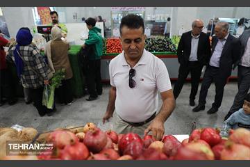 افتتاح ۶ بازار میوه‌ و تره‌بار 12