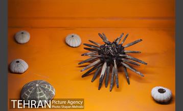 موزه علوم زمین 18