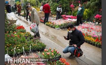 بازار گل و گیاه غرب تهران در آستانه نوروز 11