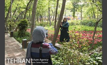 بوستان باغ ایرانی 14