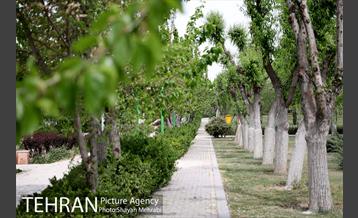 بوستان آزادگان 14