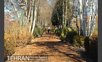 بوستان پلیس 10