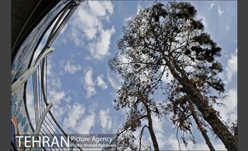 چهره جدید میدان بازار دوم نازی آباد 14