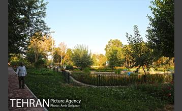 باغ راز هستی 38