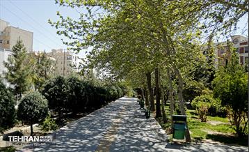 روز طبیعت در منطقه ۵ 40