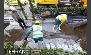 مراسم کاشت درخت در خیابان ولیعصر  5