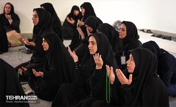 آماده‌سازی زائرشهر منطقه 8 3