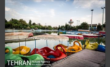 شهرنگار؛ بوستان المهدی 7