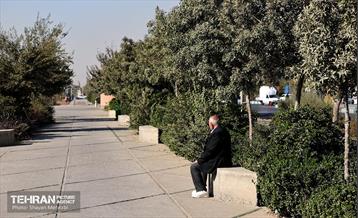 به وقت خدمت؛ باغ‌راه حضرت زهرا(س) محدوده آیت الله سعیدی 68