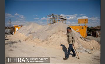 تولید کود کمپوست در پارک جنگلی آزادشهر 4