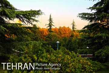 بوستان گفتگو‎ 13
