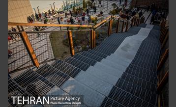 بازگشایی جمعه‌بازار «پروانه» در اراضی عباس‌آباد 30