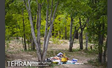 پارک ملی سرخه‌حصار 15