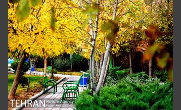 بوستان پارسیان 10