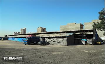 عرضه دام زنده بهداشتی ویژه روز عرفه و عید قربان 20