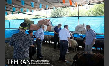 مرکز عرضه دام بهداشتی به مناسبت عید قربان در منطقه 14