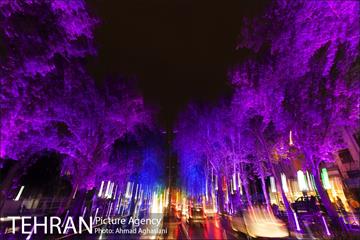 نورپردازی درختان بلوار میرداماد 23