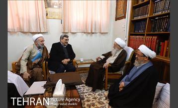دیدار شهردار تهران با آیت الله العظمی صافی گلپایگانی 9