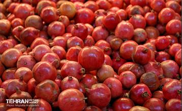 جشنواره انار تهران در گذر گردشگری پارک آب و آتش 7