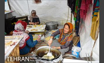 آیین گلاب­گیری «زیارت گل» 15