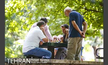 بوستان قیطریه 8