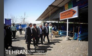 بازدید معاونین شهردار از جایگاه های عرضه دام زنده 26