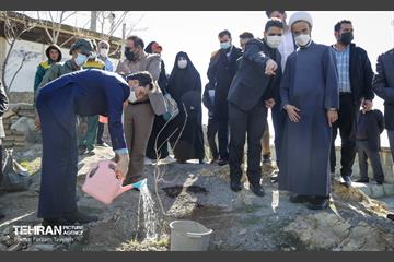 آیین غرس درخت در کوهسار  با حضور معاون فرهنگی قوه قضاییه 12