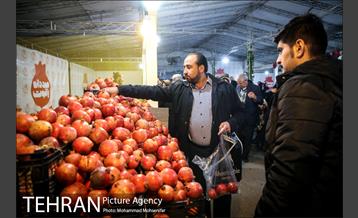 افتتاح جشنواره صد دانه یاقوت 9