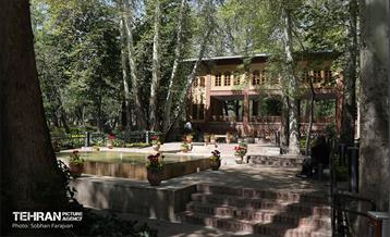 باغ ایرانی میزبان لاله‌ها 5