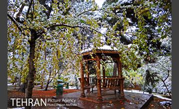 بارش برف پاییزی در بوستان طالقانی 7