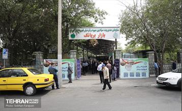 صد و سی و نهمین پویش امید و افتخار 18