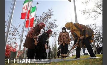 آیین کاشت نهال دوستی با حضور همسران دیپلمات مقیم ایران 24