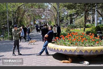 روز طبیعت در بوستان لاله 25