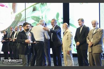 جشنواره شهید رجایی 7