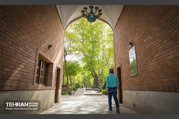 لاله های باغ ایرانی 21
