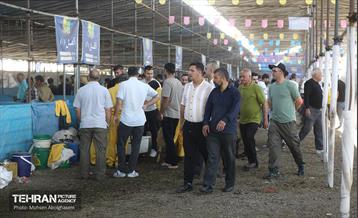 بازدید از مرکز عرضه بهداشتی دام ویژه عید قربان 9